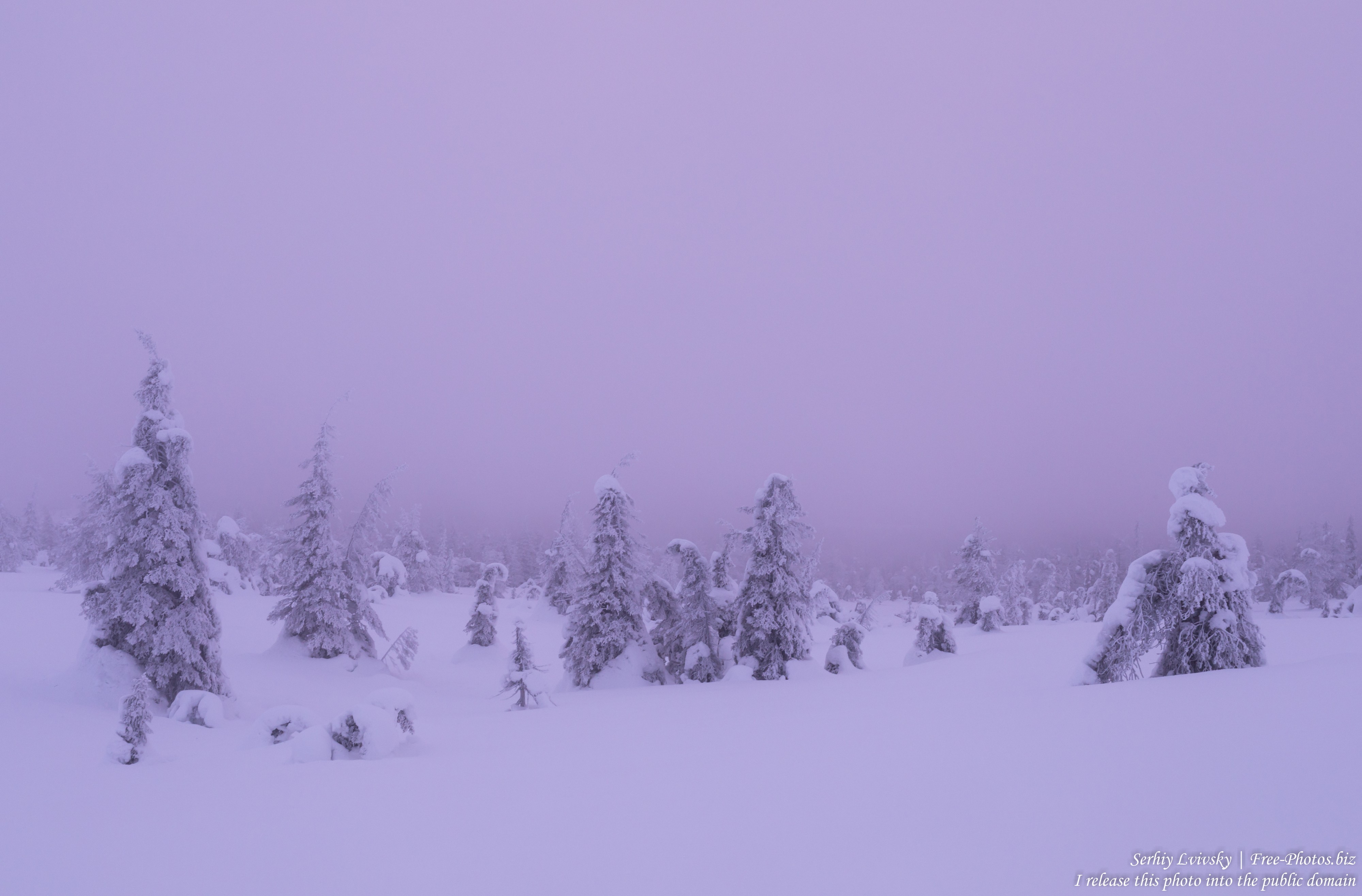 Riisitunturi, Finland, photographed in January 2020 by Serhiy Lvivsky, picture 2