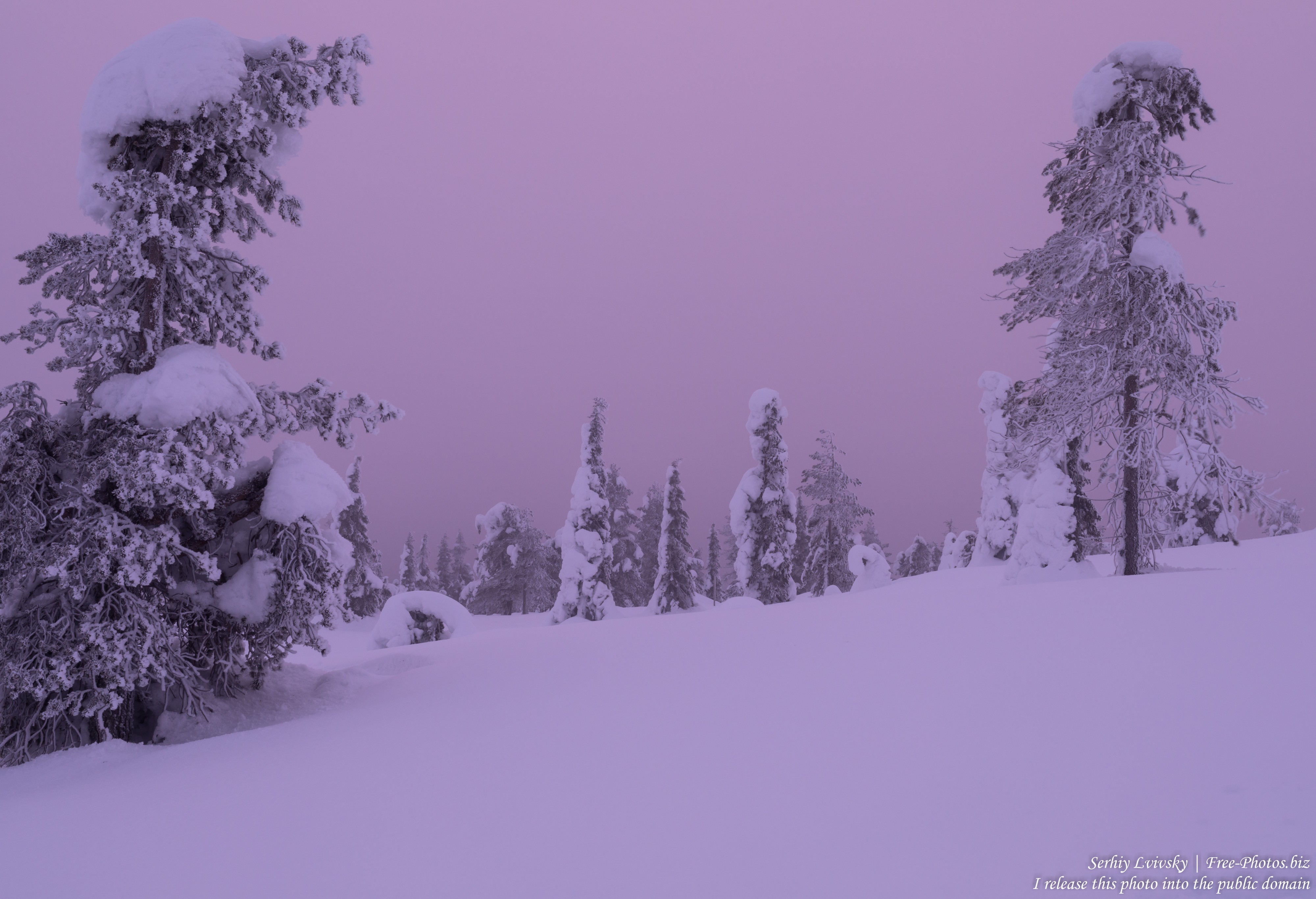 Riisitunturi, Finland, photographed in January 2020 by Serhiy Lvivsky, picture 4