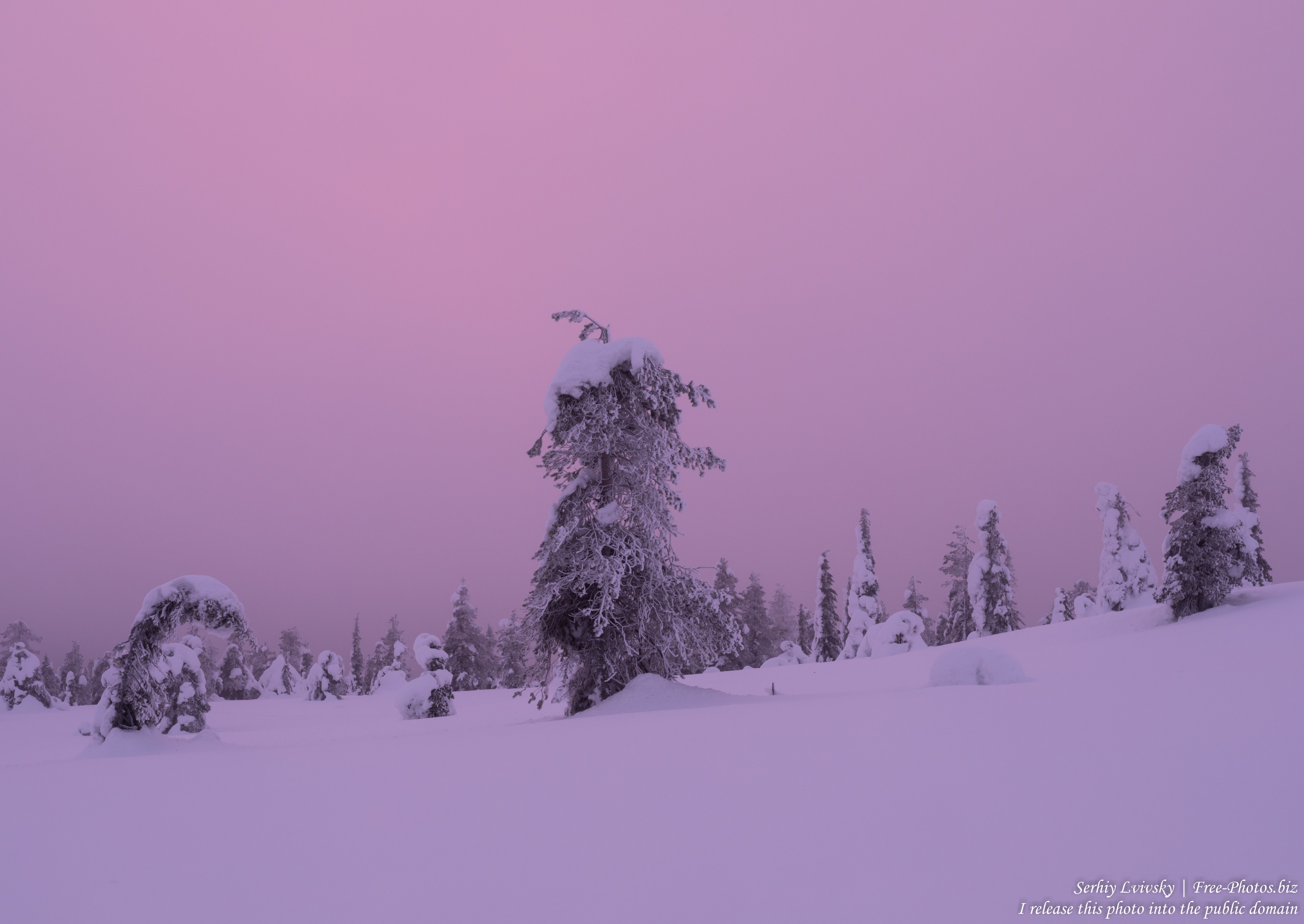Riisitunturi, Finland, photographed in January 2020 by Serhiy Lvivsky, picture 5