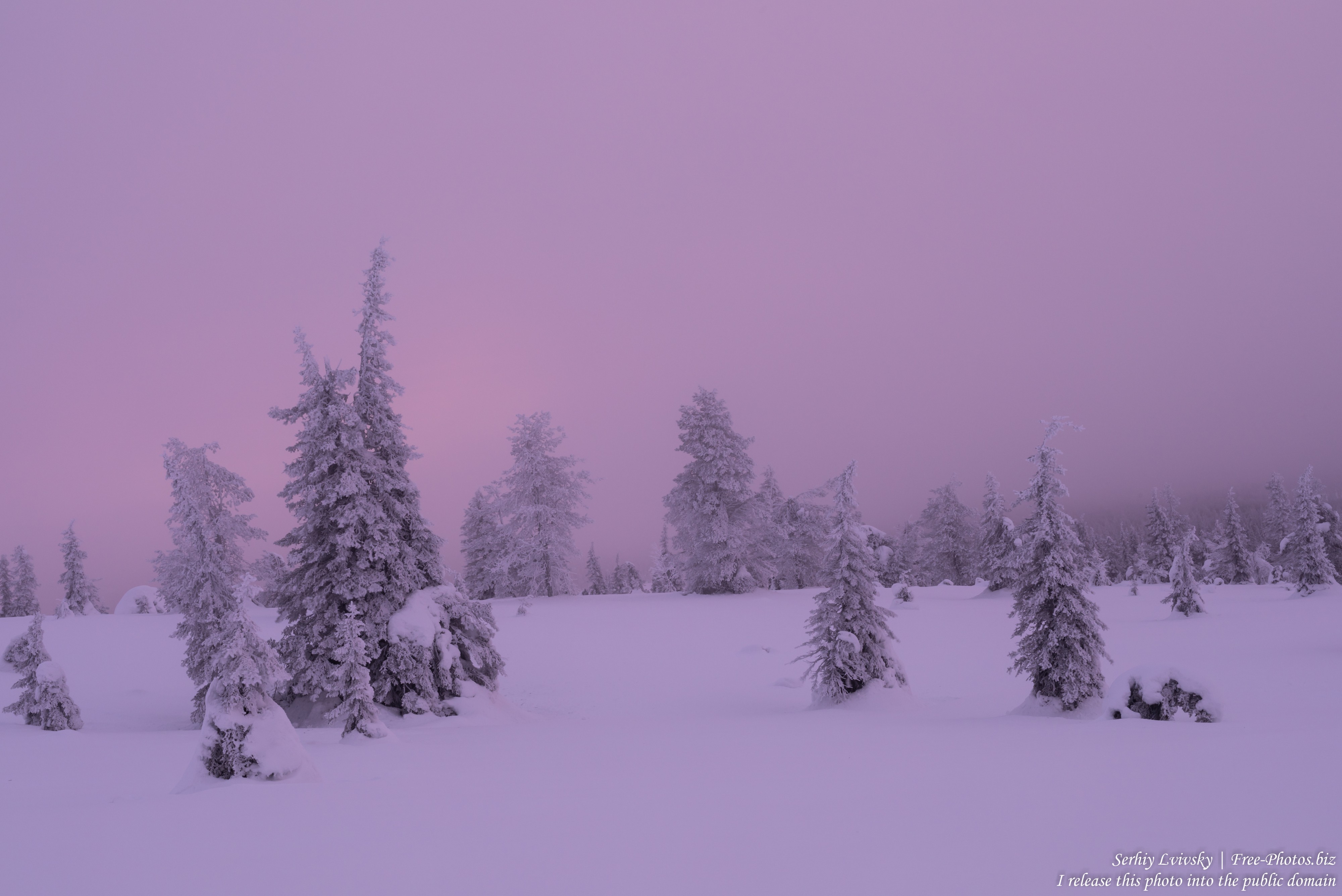 Riisitunturi, Finland, photographed in January 2020 by Serhiy Lvivsky, picture 8