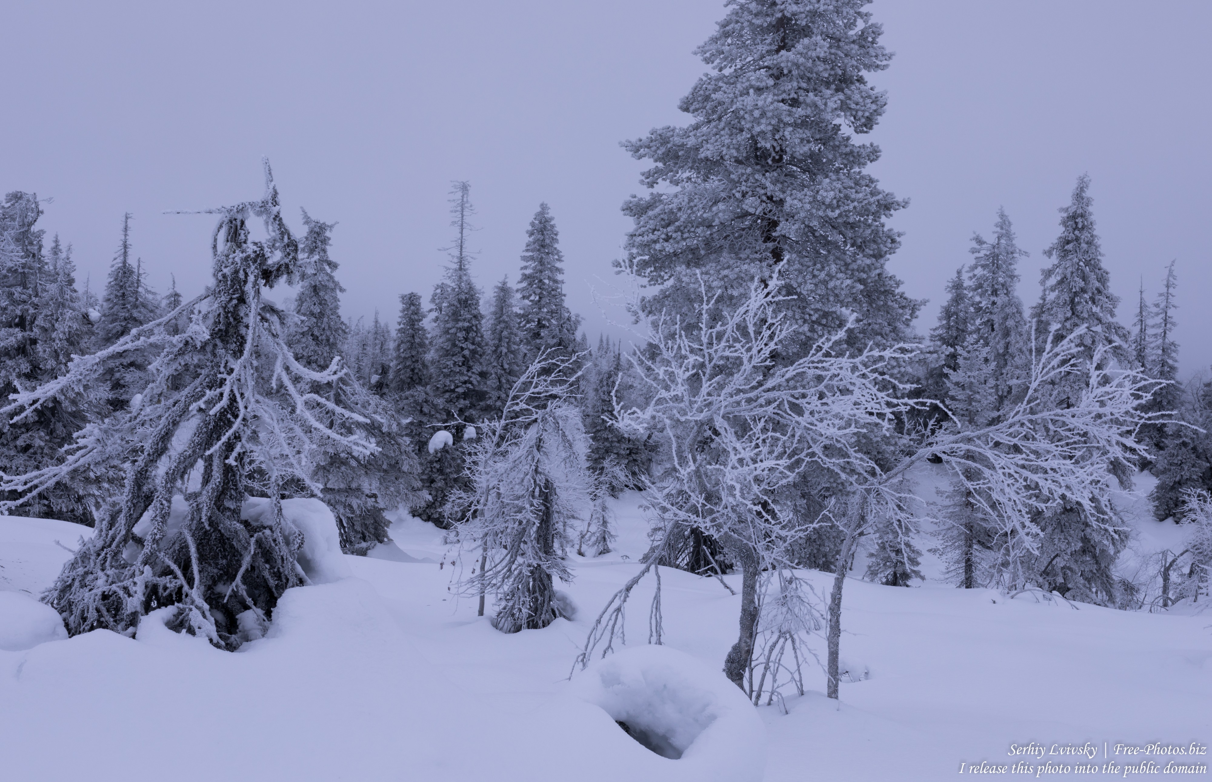 Riisitunturi, Finland, photographed in January 2020 by Serhiy Lvivsky, picture 18