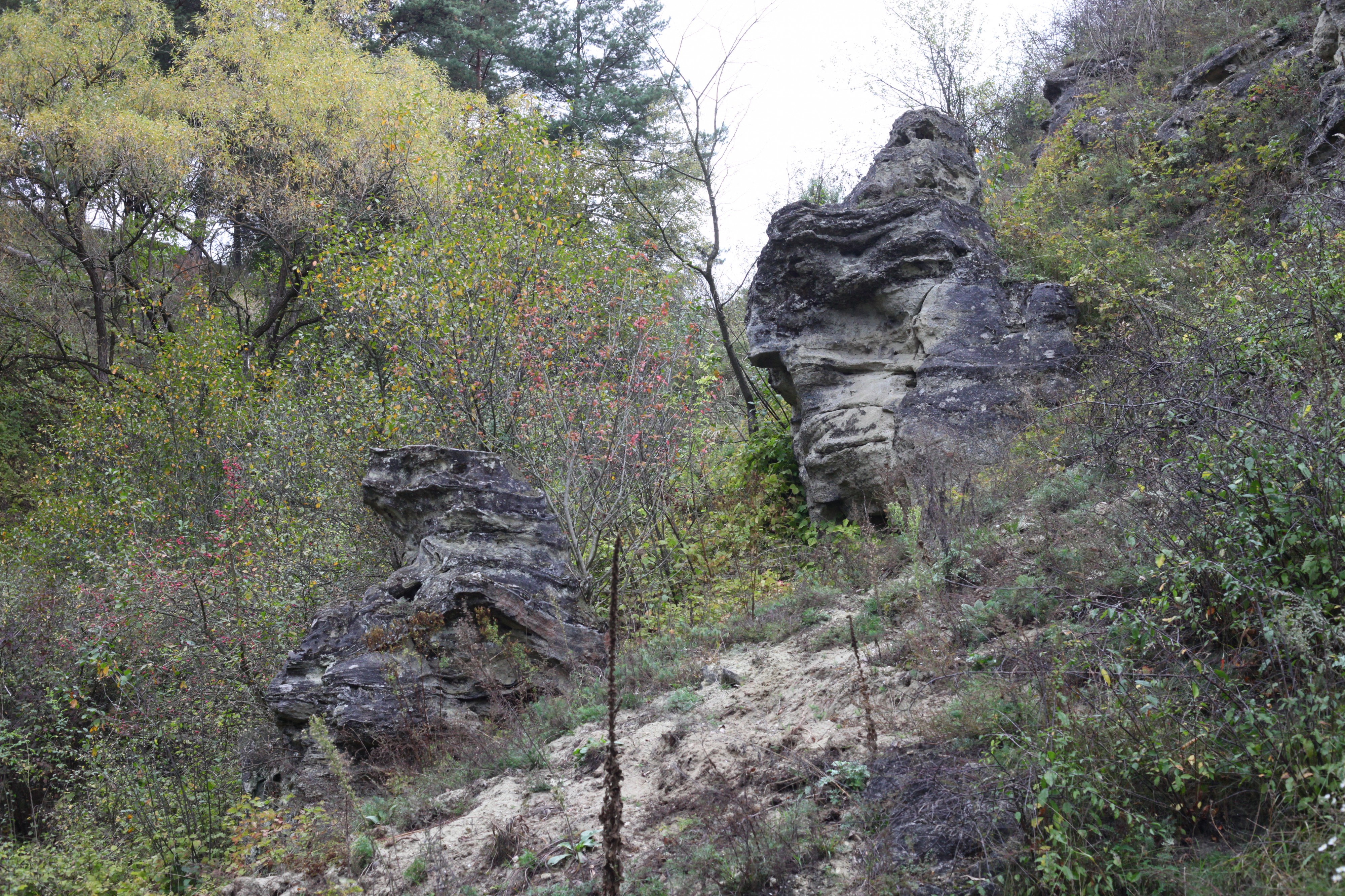 a rocky landscape in Lviv region of Ukraine