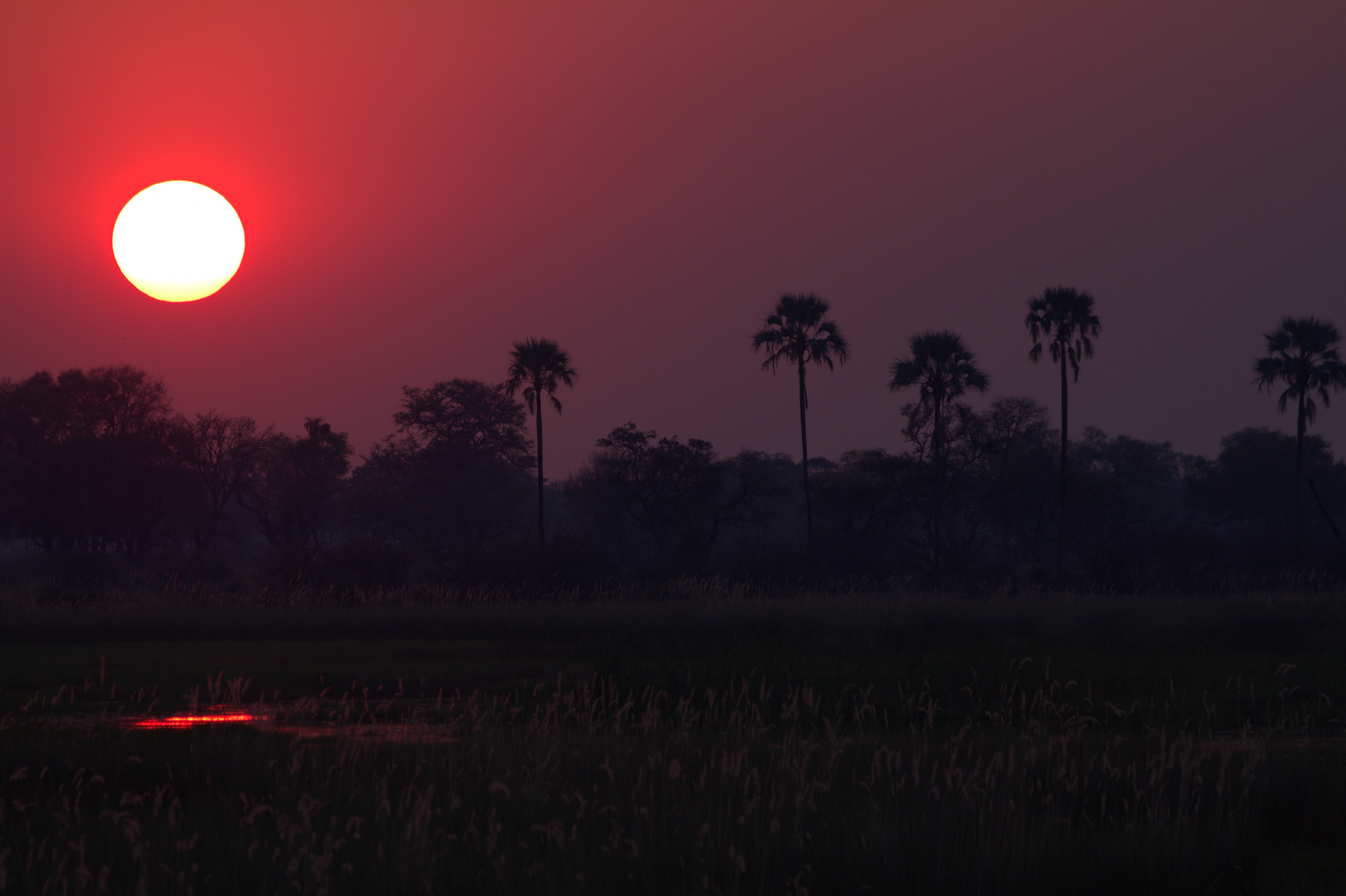 Sunset in the Okavango Delta, Botswana