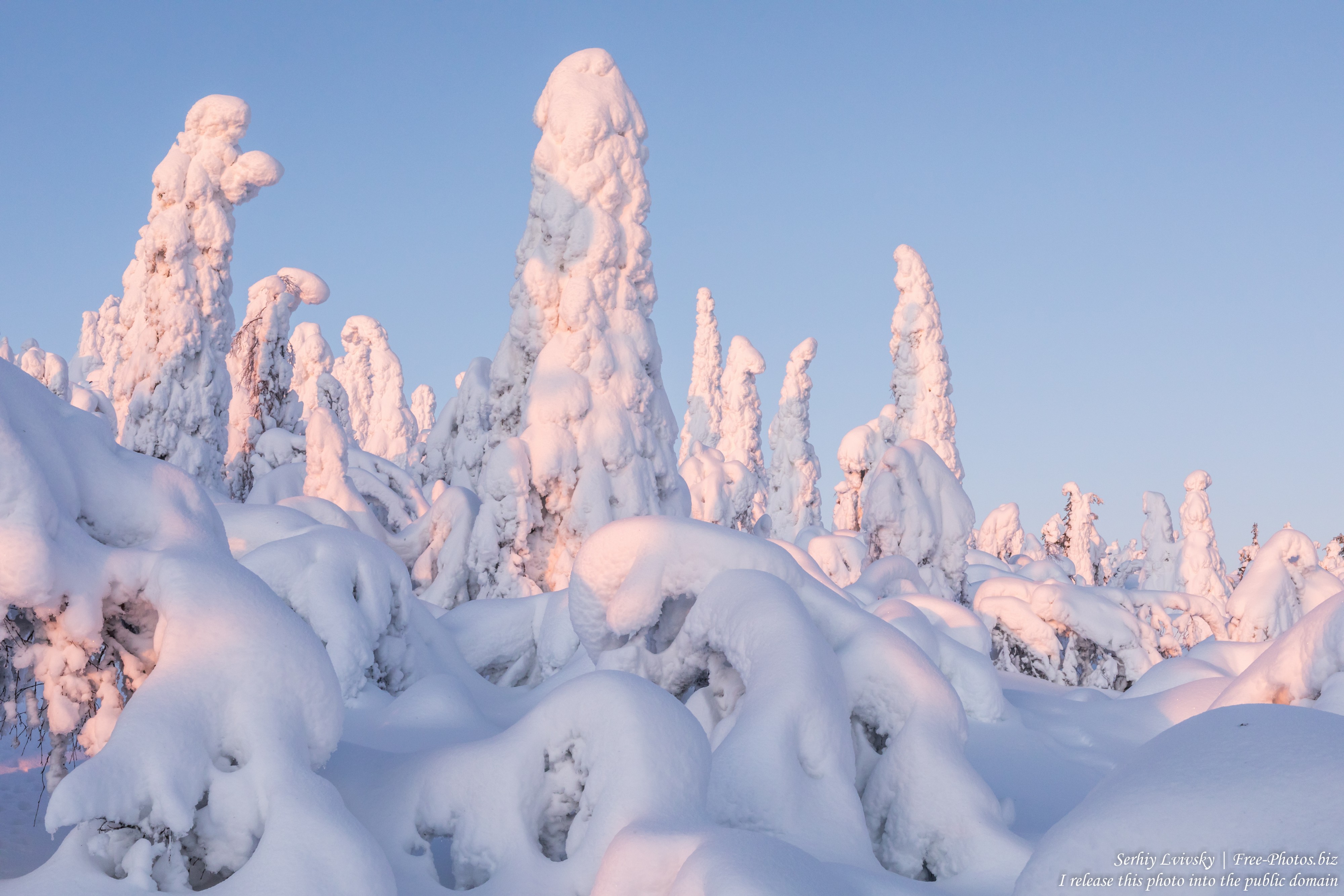 Valtavaara, Finland, photographed in January 2020 by Serhiy Lvivsky, picture 18