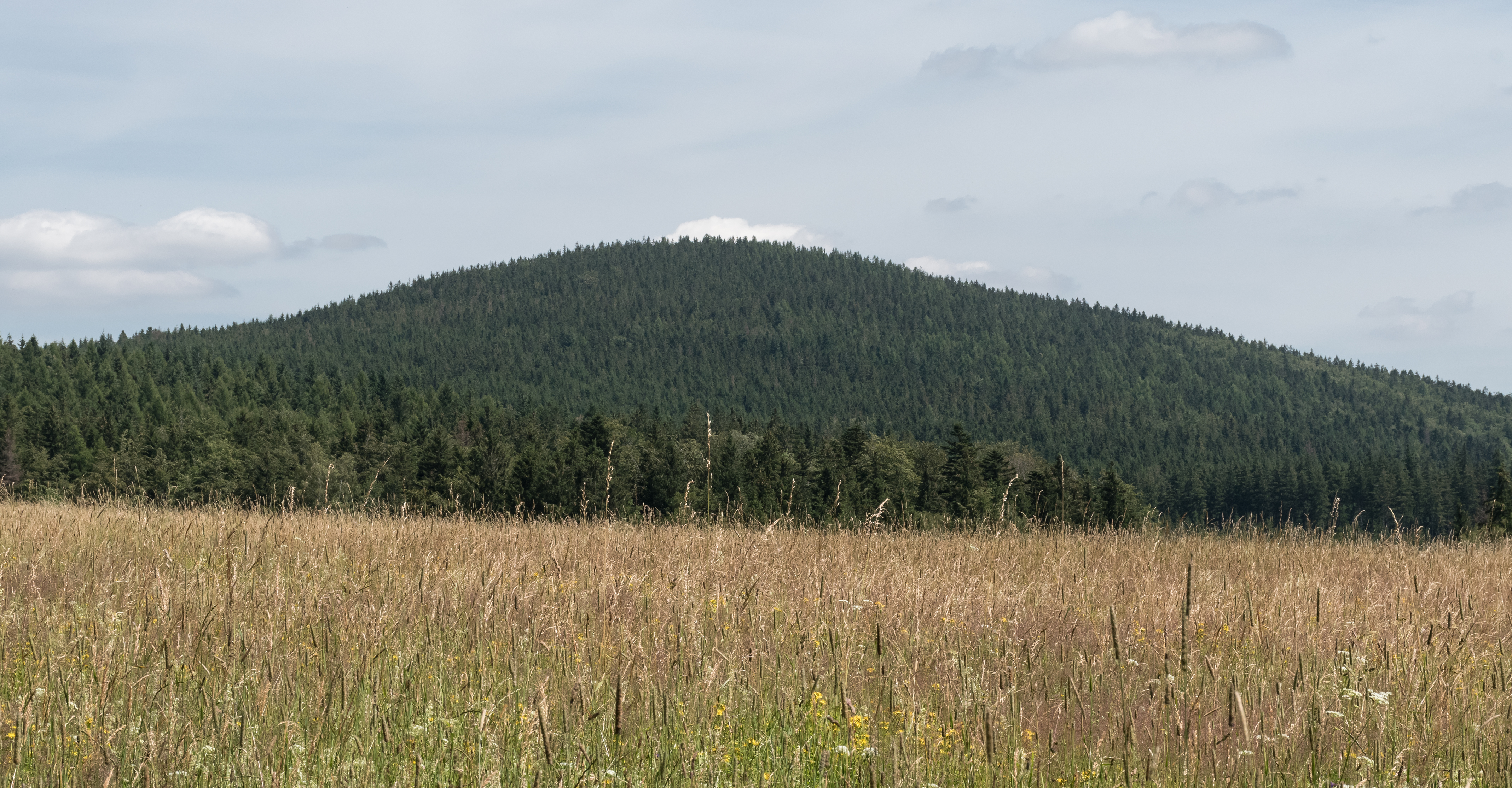 2016 Szewczyk (Hraniční vrch), Góry Złote