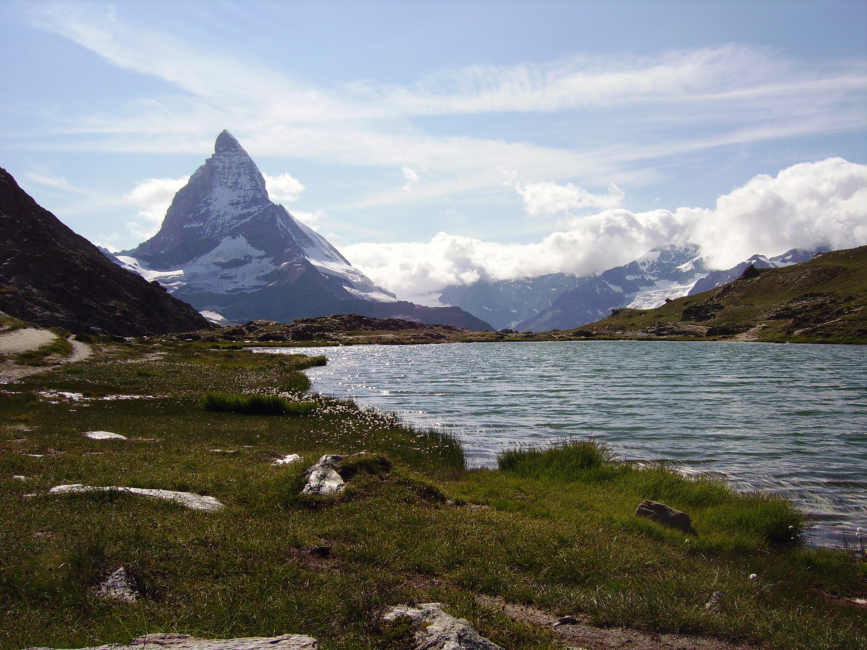 Eriophorum scheuchzeri Riffelsee Matterhorn
