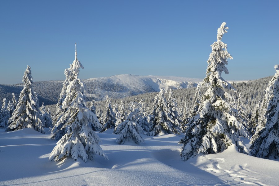 Krkonoše mountains in winter 2018 02
