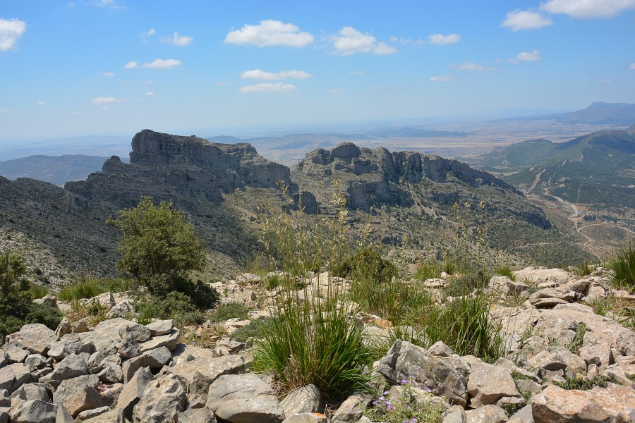 Parc National de Jabal Zaghouan 172