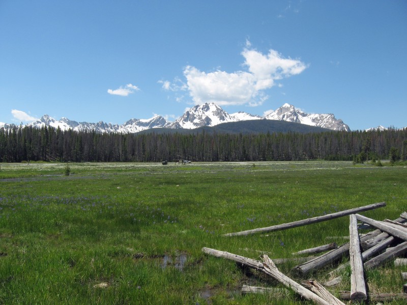 Sawtooth from Stanley Lake Creek