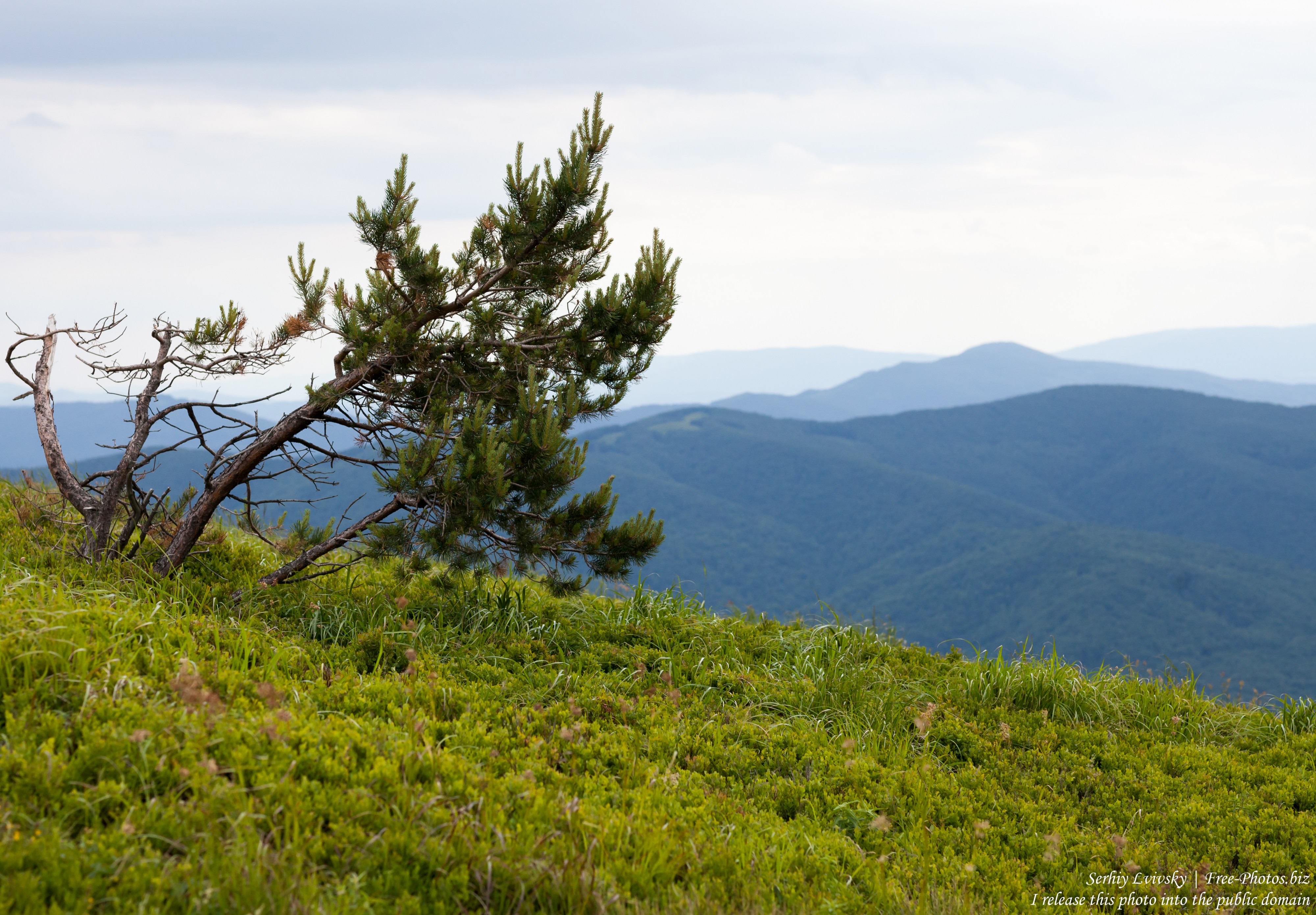 Bieszczady mountains, Poland, photographed in July 2017 by Serhiy Lvivsky, picture 5
