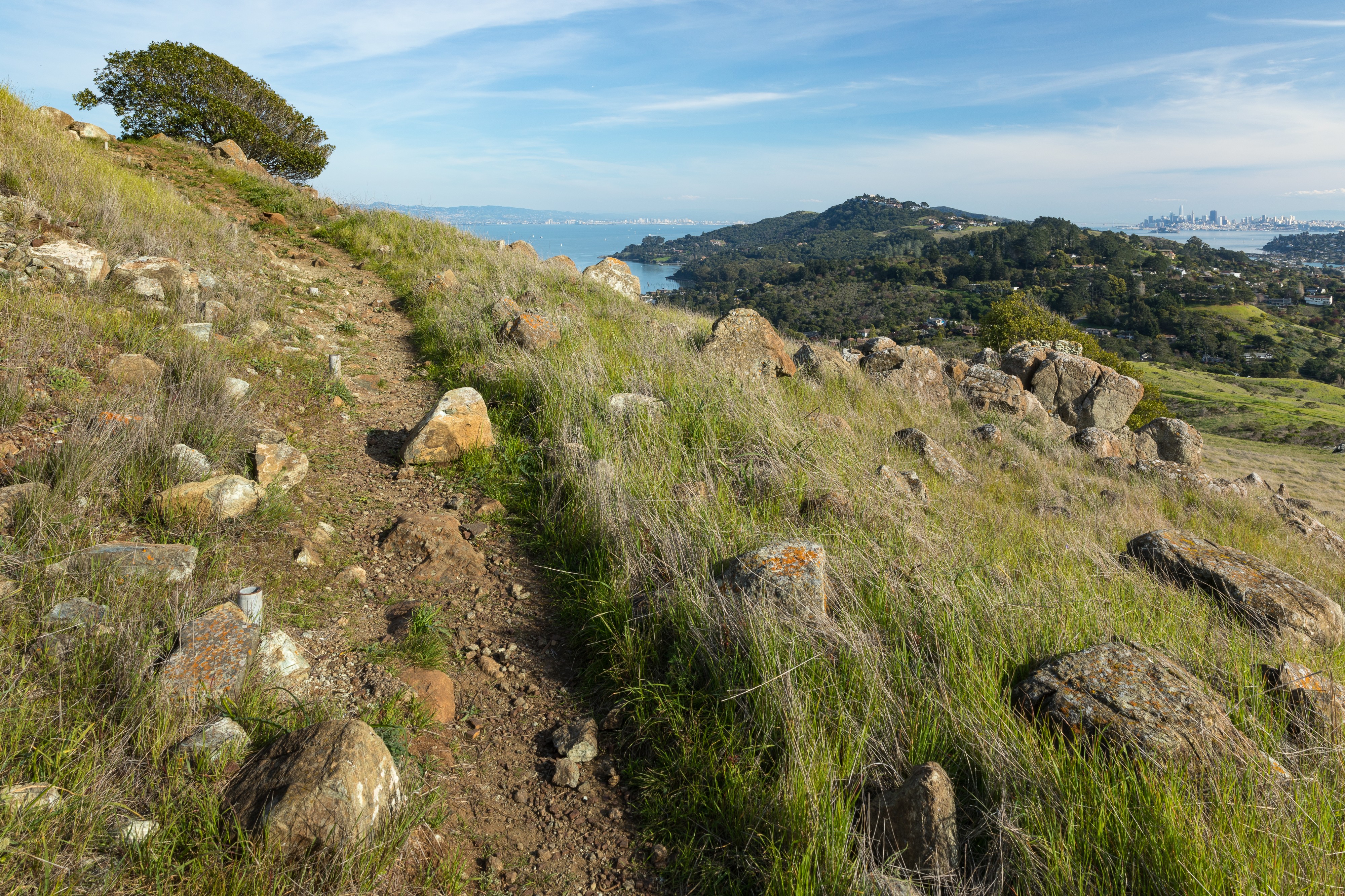 View of the Tiburon Peninsula and the Bay from Ring Mountain