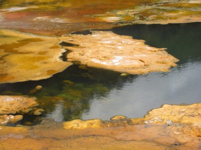 Algal mats on the Map of Africa hot pool, Orakei Korako geothermal area, New Zealand.
