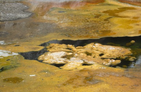Algal mats on the Map of Africa hot pool, Orakei Korako geothermal area, New Zealand.