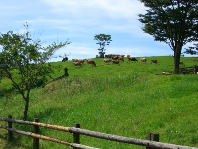 Takachiho Farm in Miyazaki, Japan