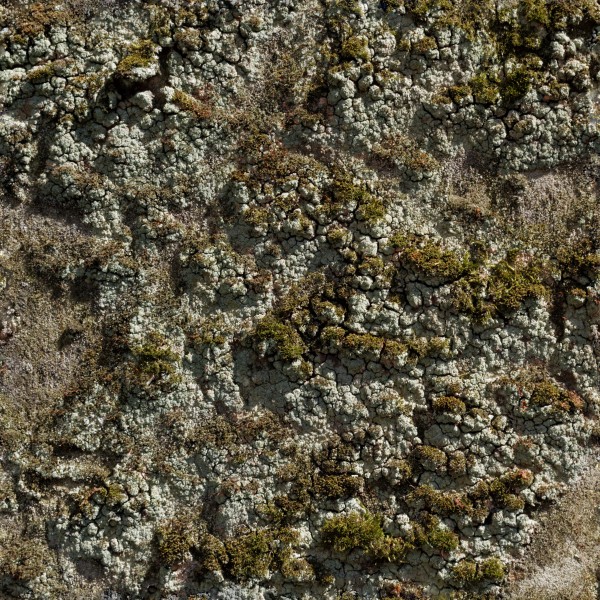 Moss and lichen tileable
