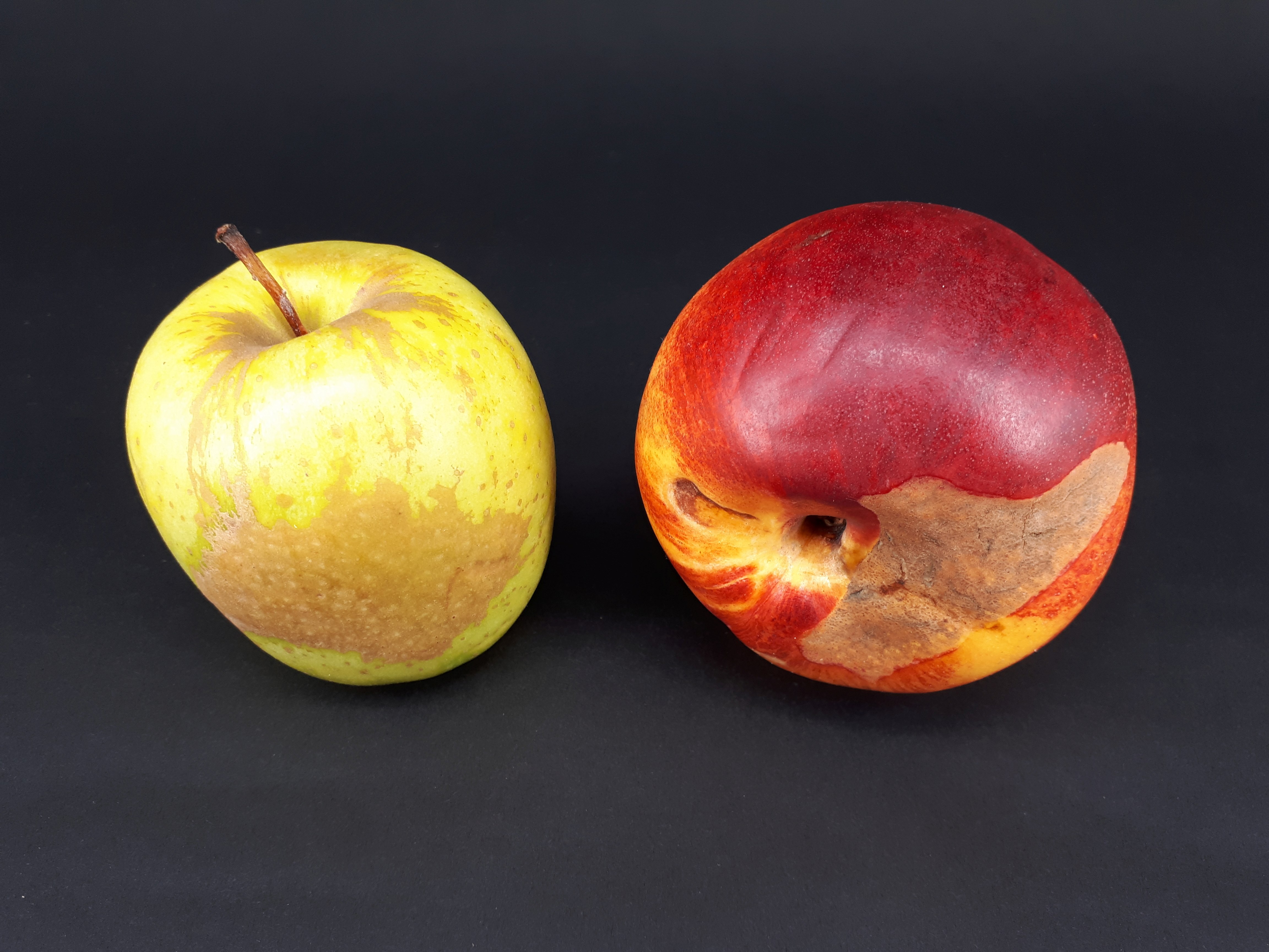 2 x Stained fruit - Apple - Nectarine - 2017 B