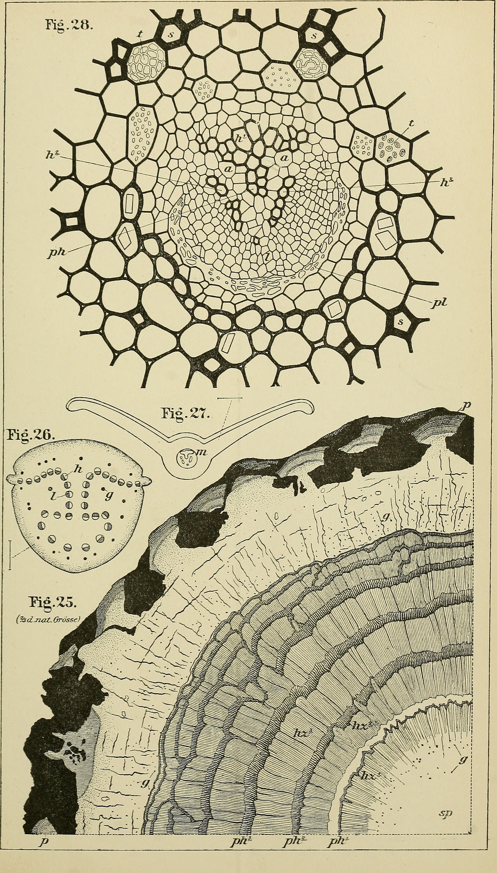Abhandlungen zur geologischen Specialkarte von Preussen und den Thüringischen Staaten (1885) (16767837482)