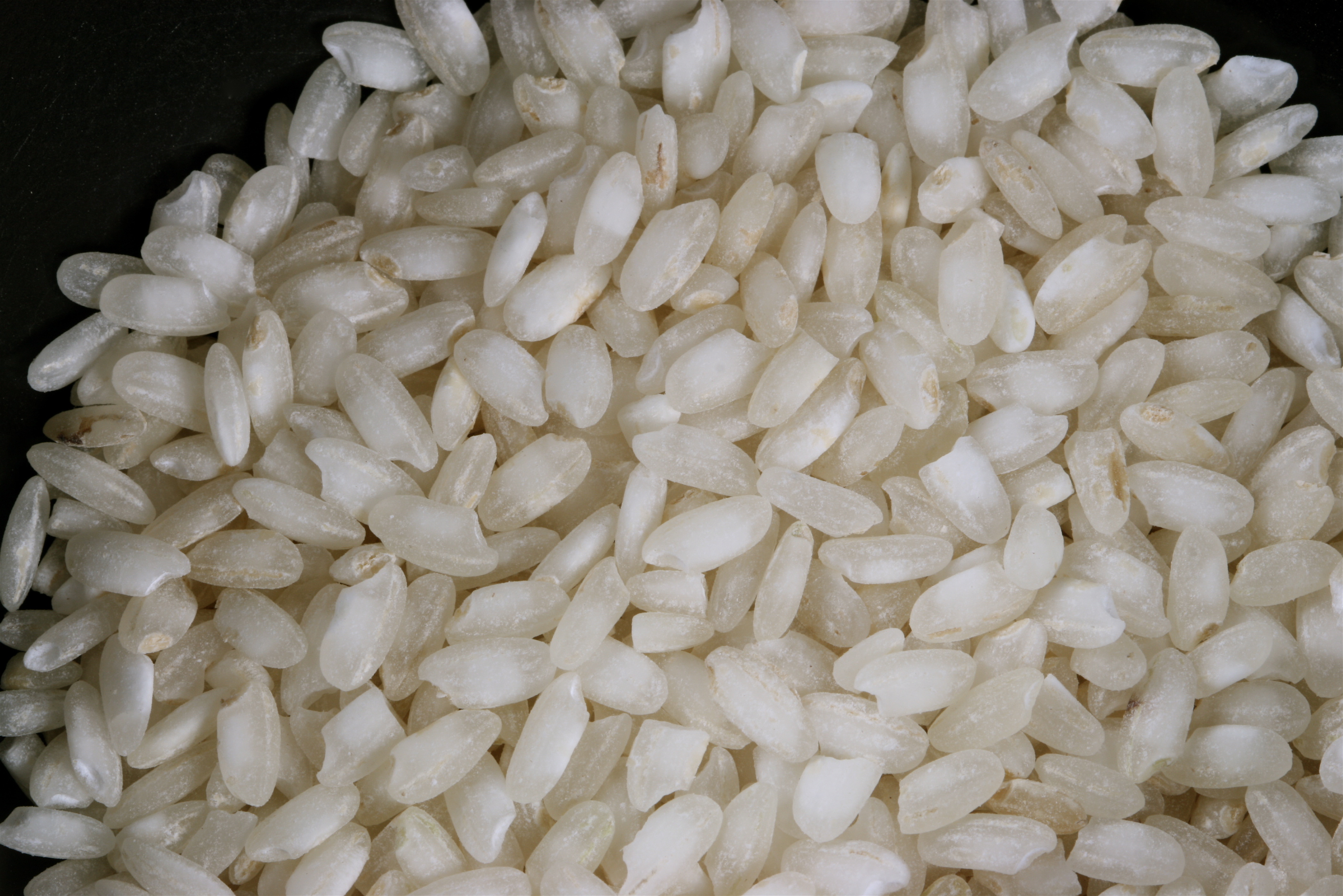 Arborio Rice (3769693295)
