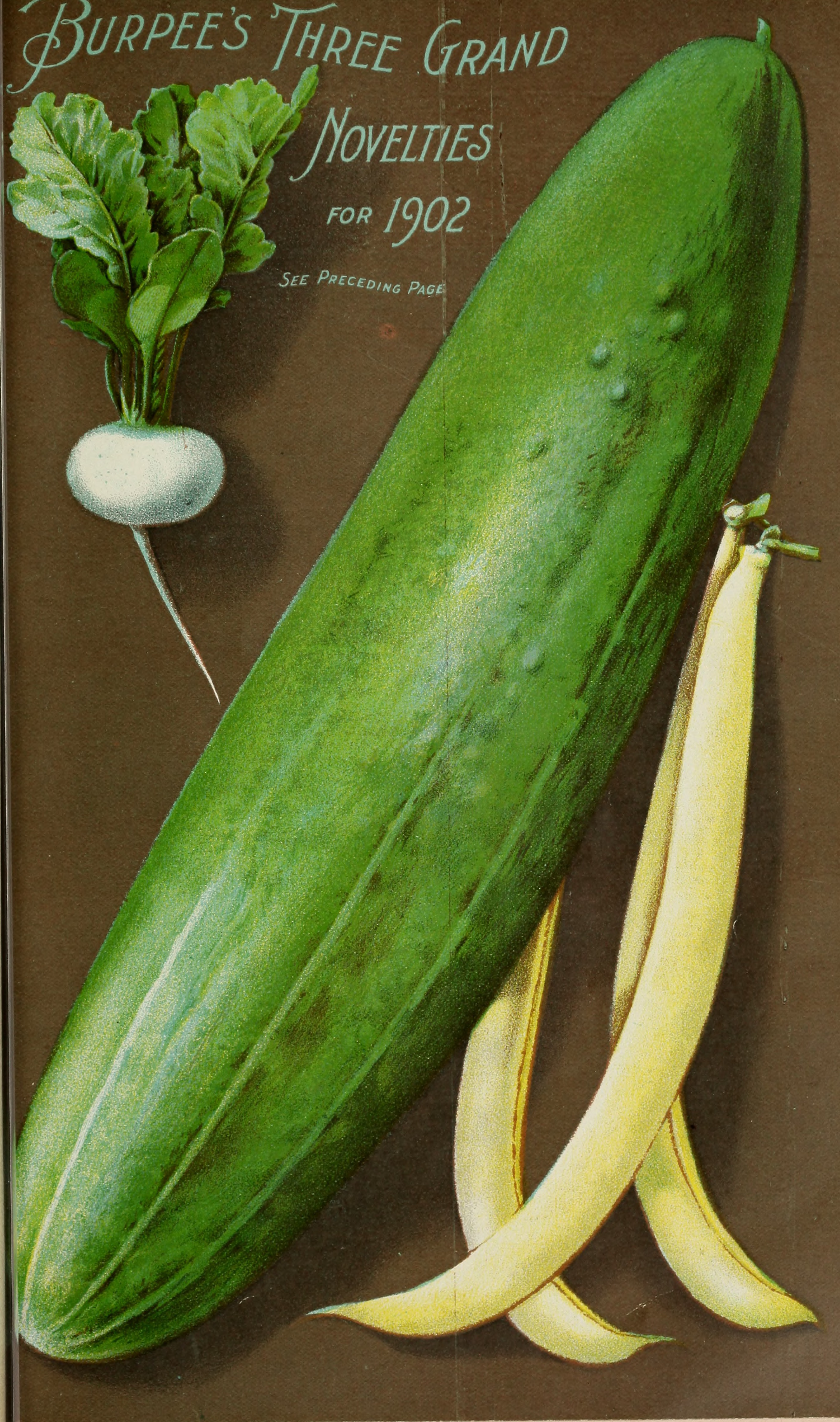 Burpee's 1902 farm annual - vegetable, flower and farm seeds (1902) (19941111824)