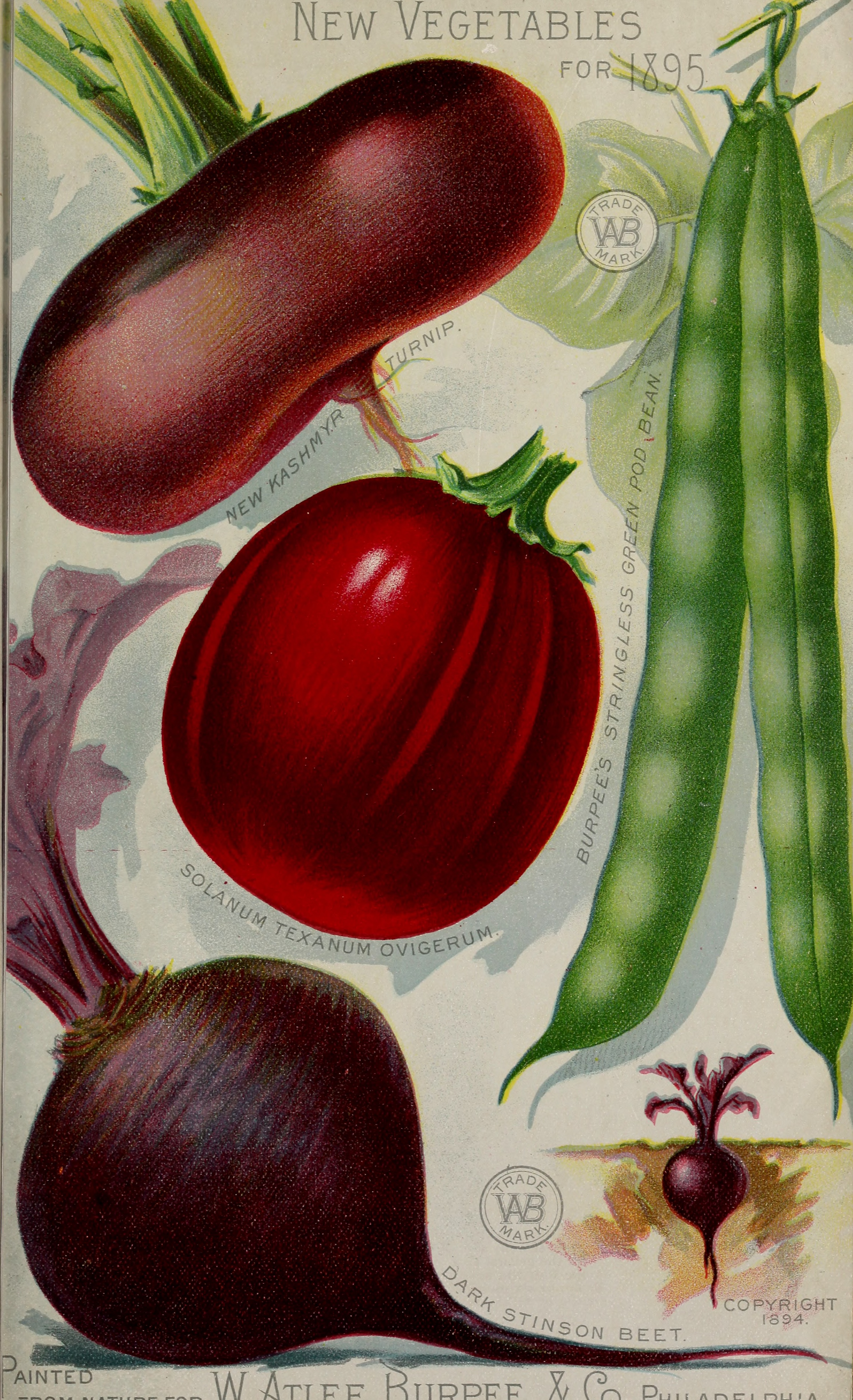 Burpee's farm annual - the best seeds that grow including rare novelties (1895) (19887803734)