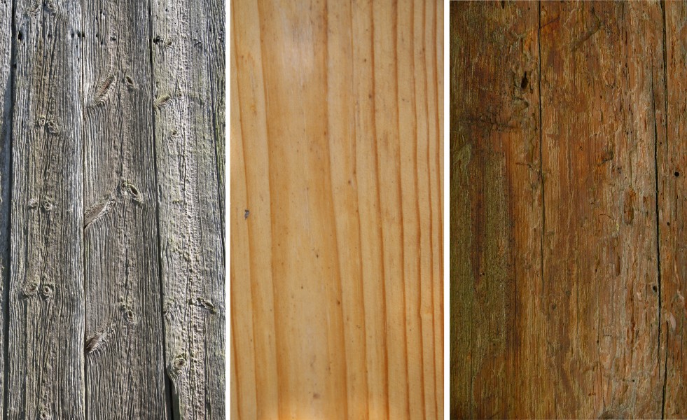 3 rodzaje drewna