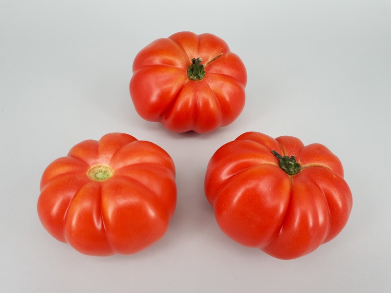3 x Monterosa tomato 2017 A