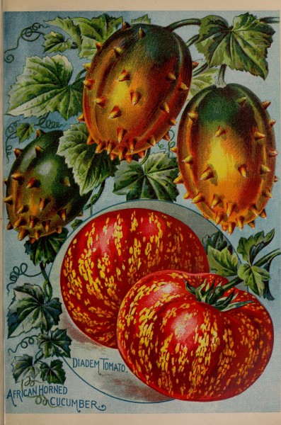 Childs' rare flowers, vegetables, and fruits (1898) (20419967599)