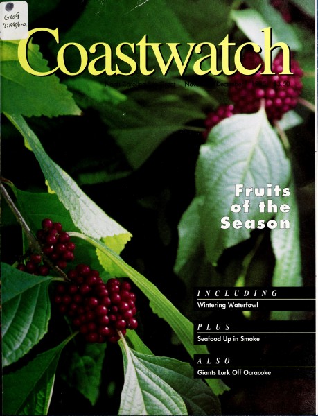 Coast watch (1979) (20650709752)