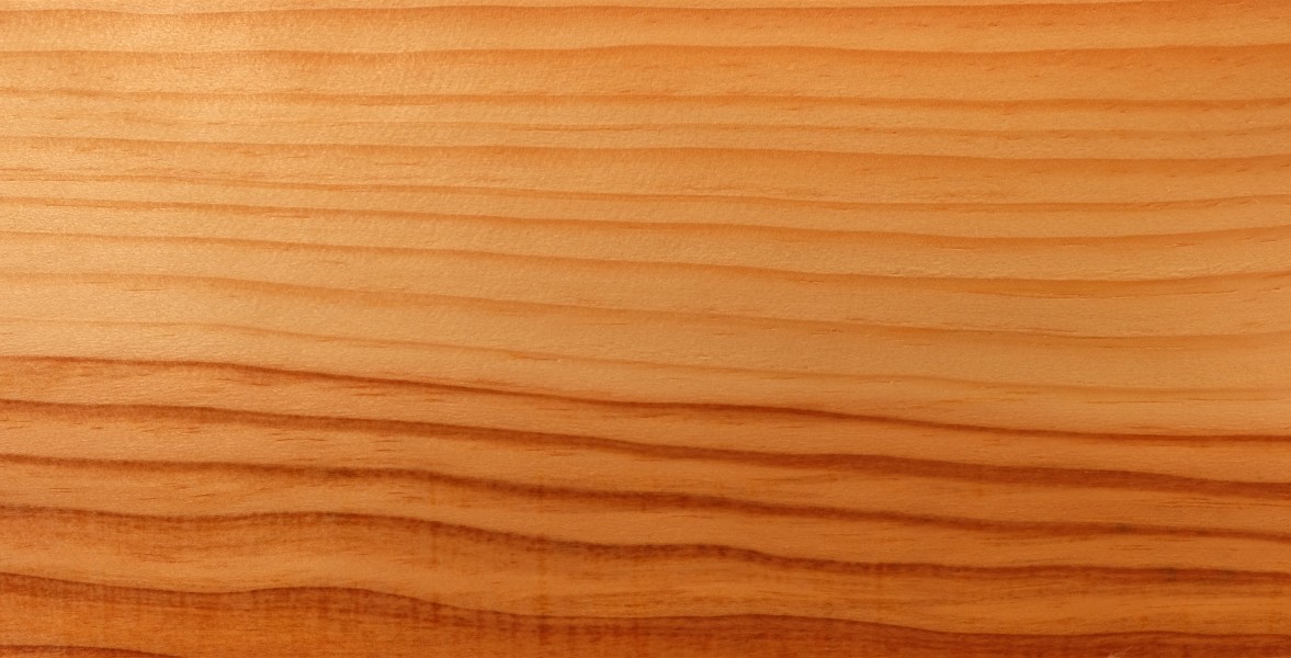 Kiefer Holz