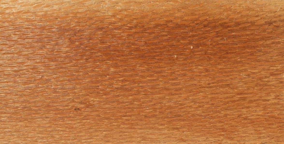 Silky Oak Holz
