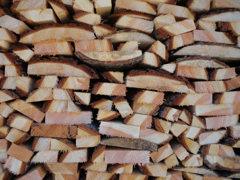 Spruce wood