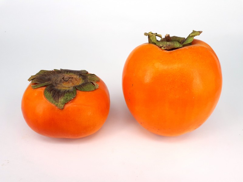 Two persimmons 2017 B