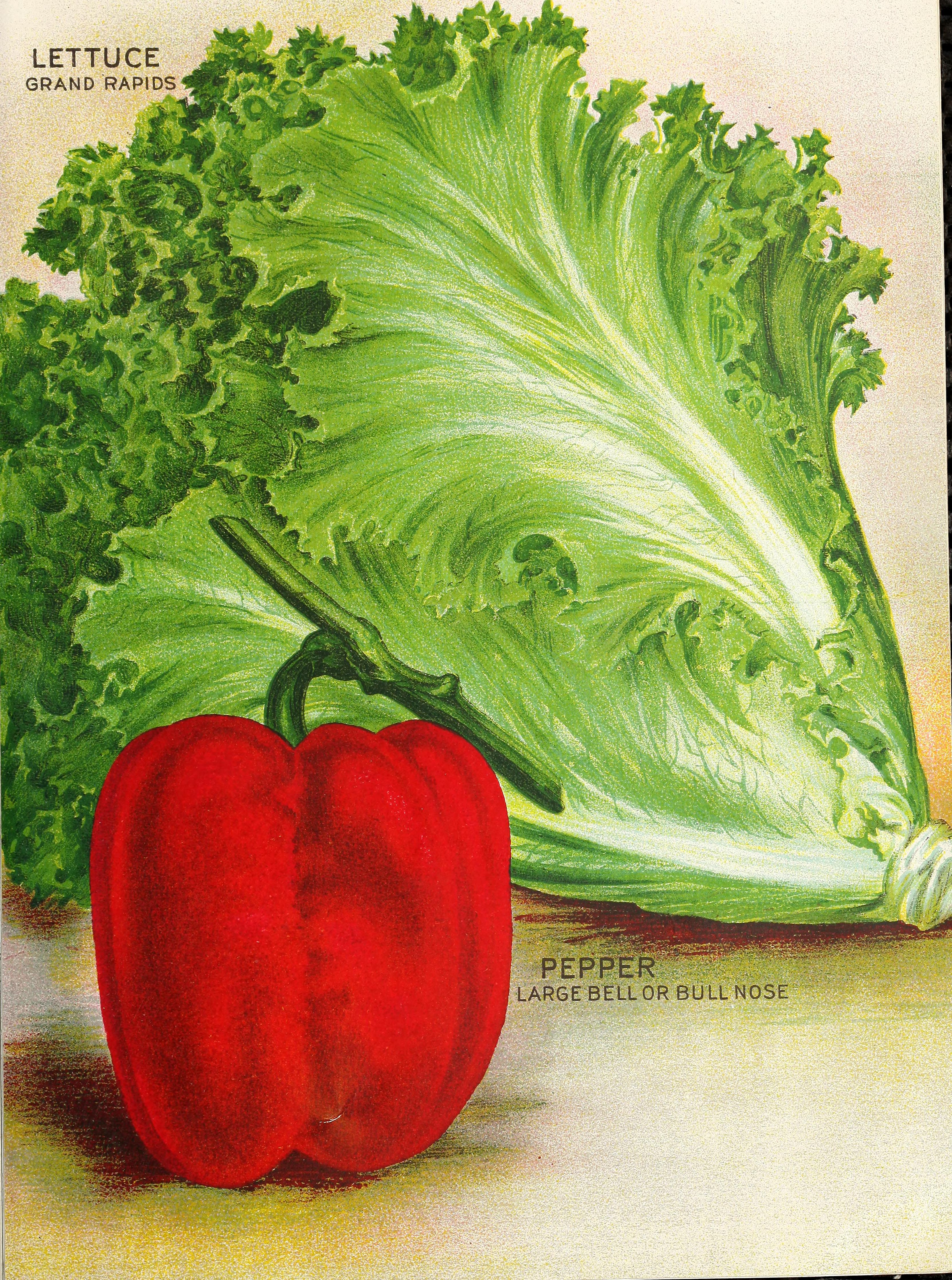 Seed annual 1918 (1918) (14784446043)