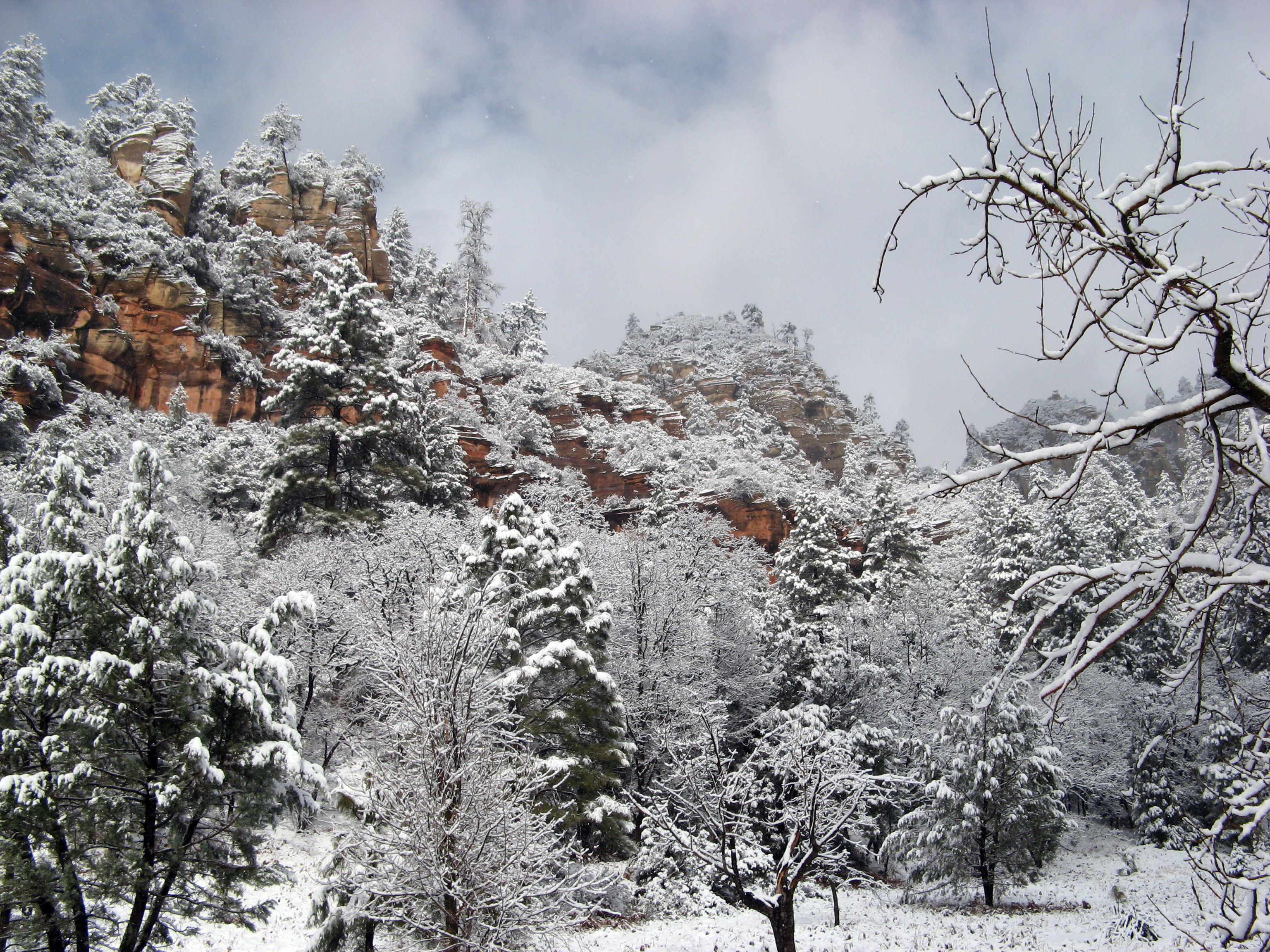 Snow in West Fork of Oak Creek Canyon (3910794390)