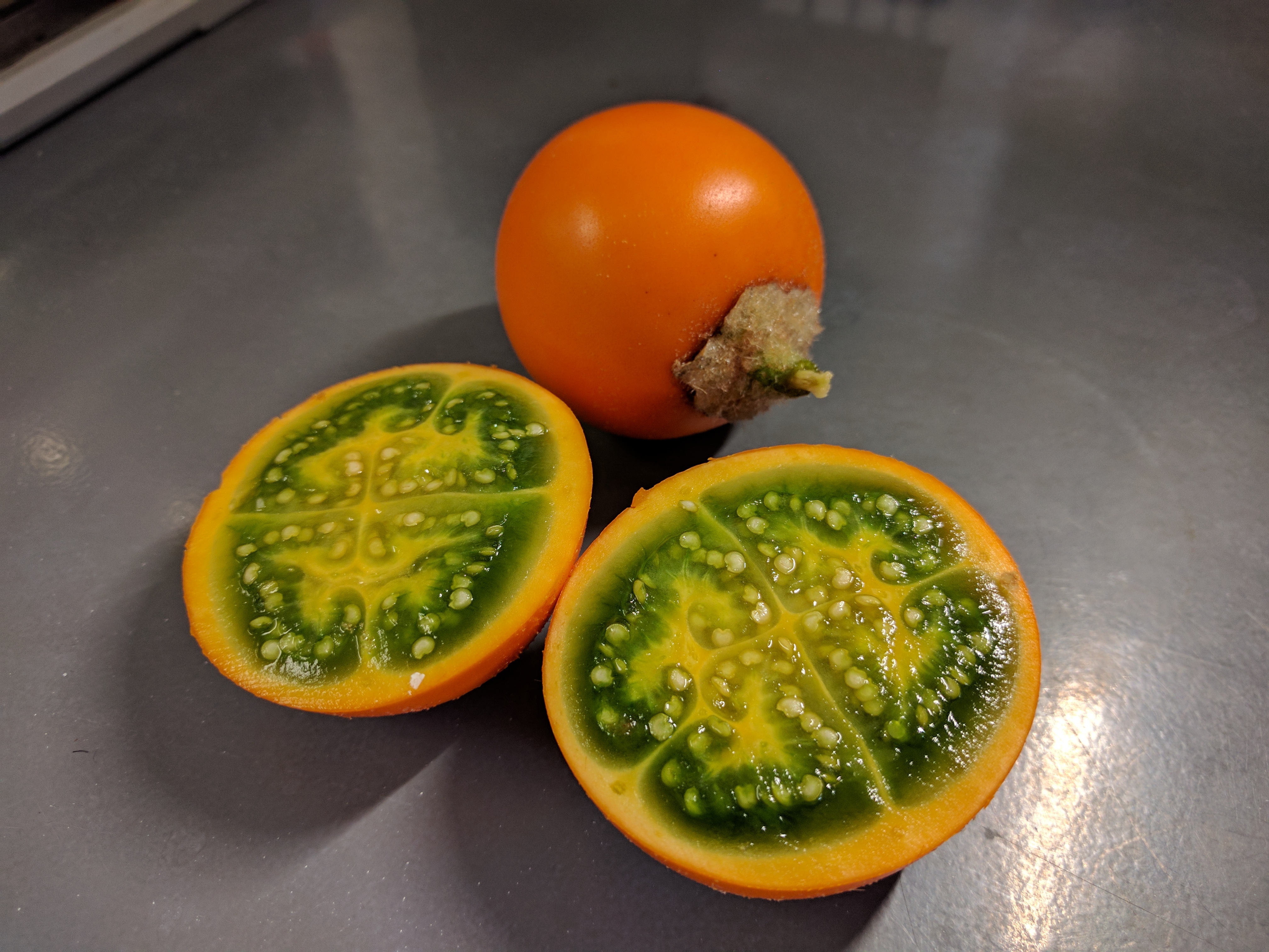 SolanumQuitoenseFruit1