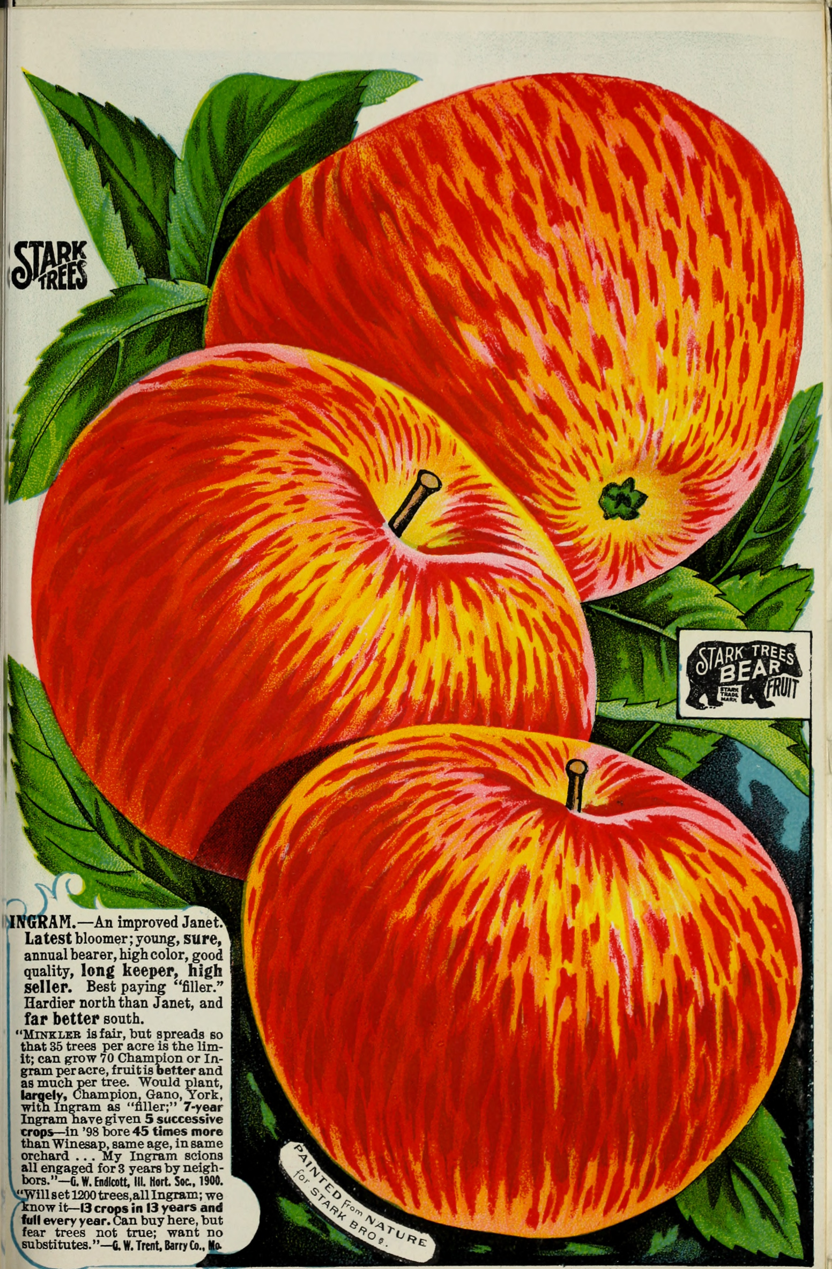 Stark fruit book (1901) (20375803759)