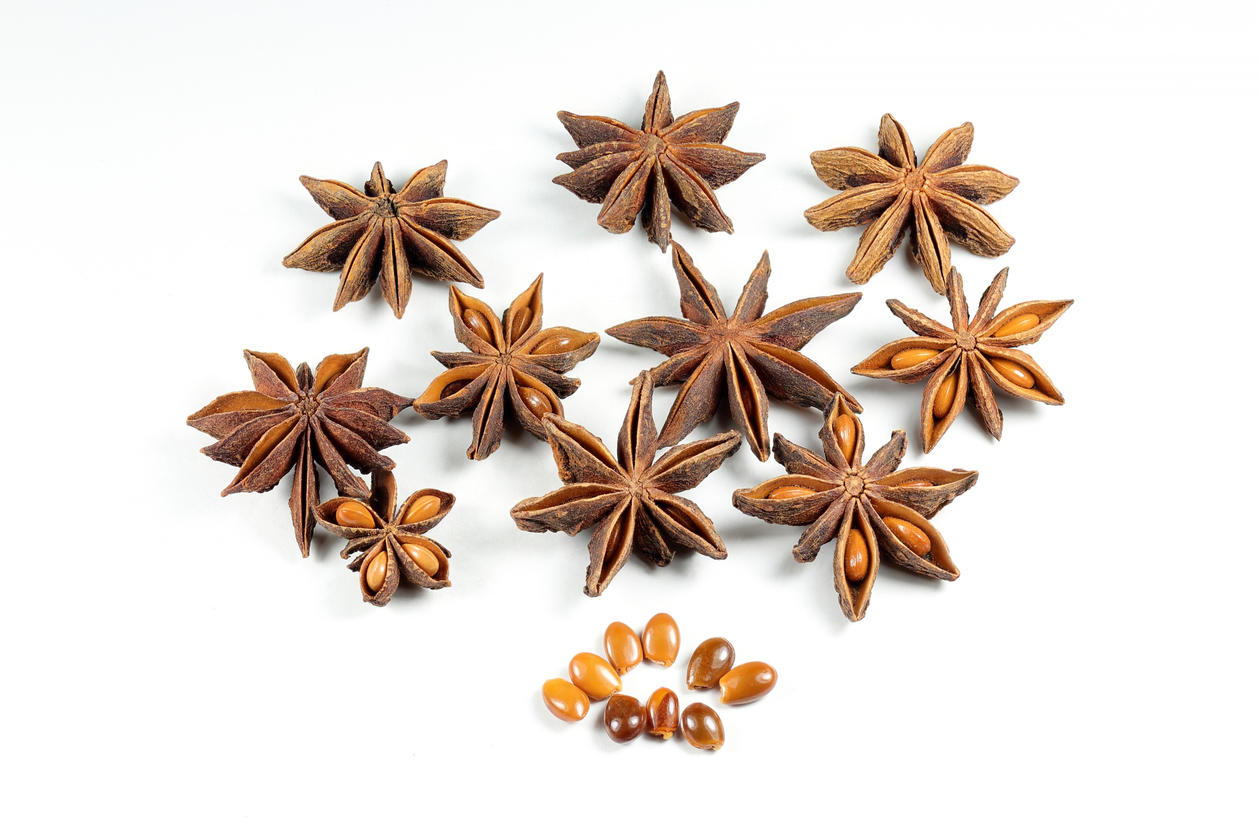 Dried Star Anise Fruit Seeds