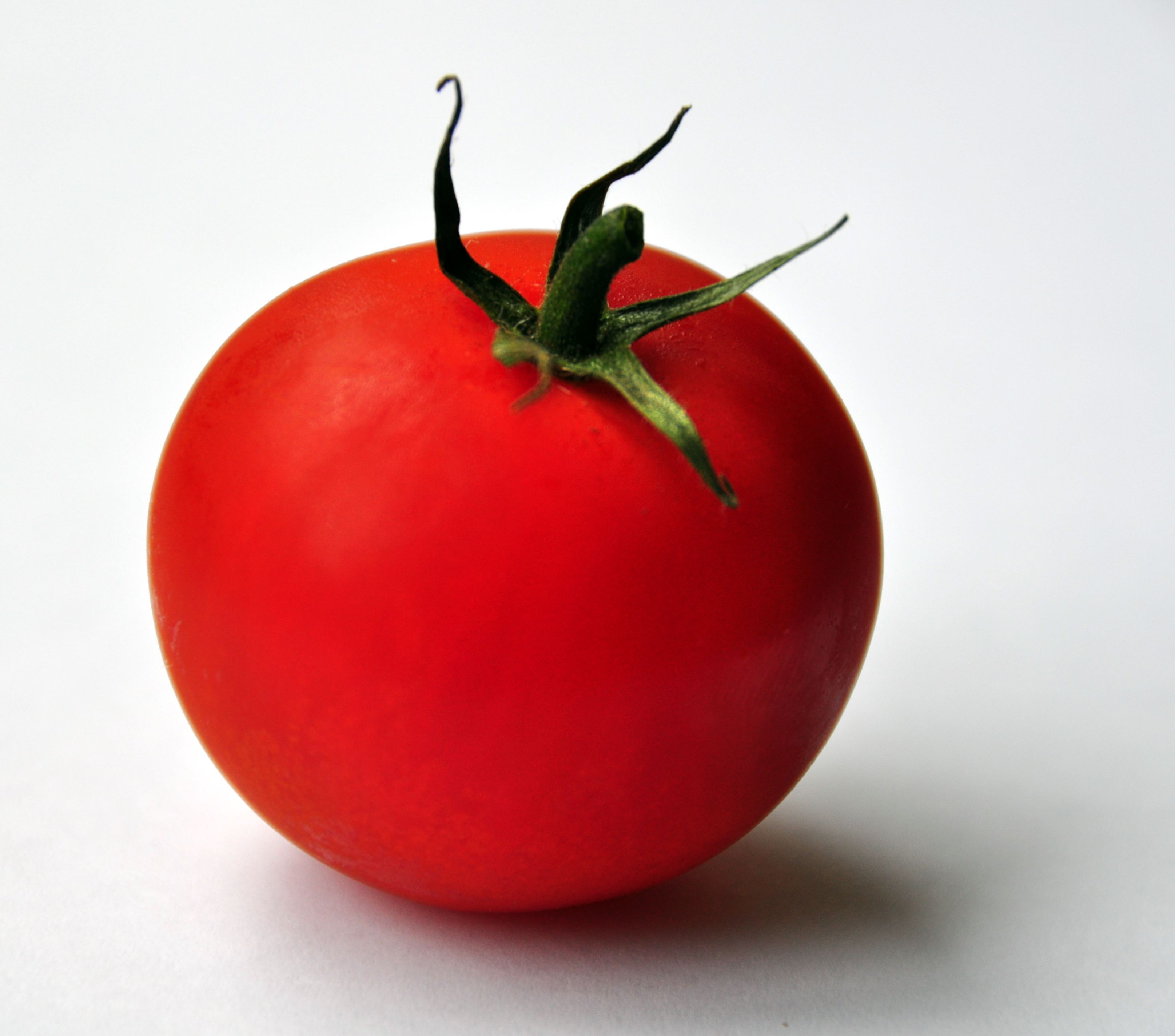 Tomato (3667951881)