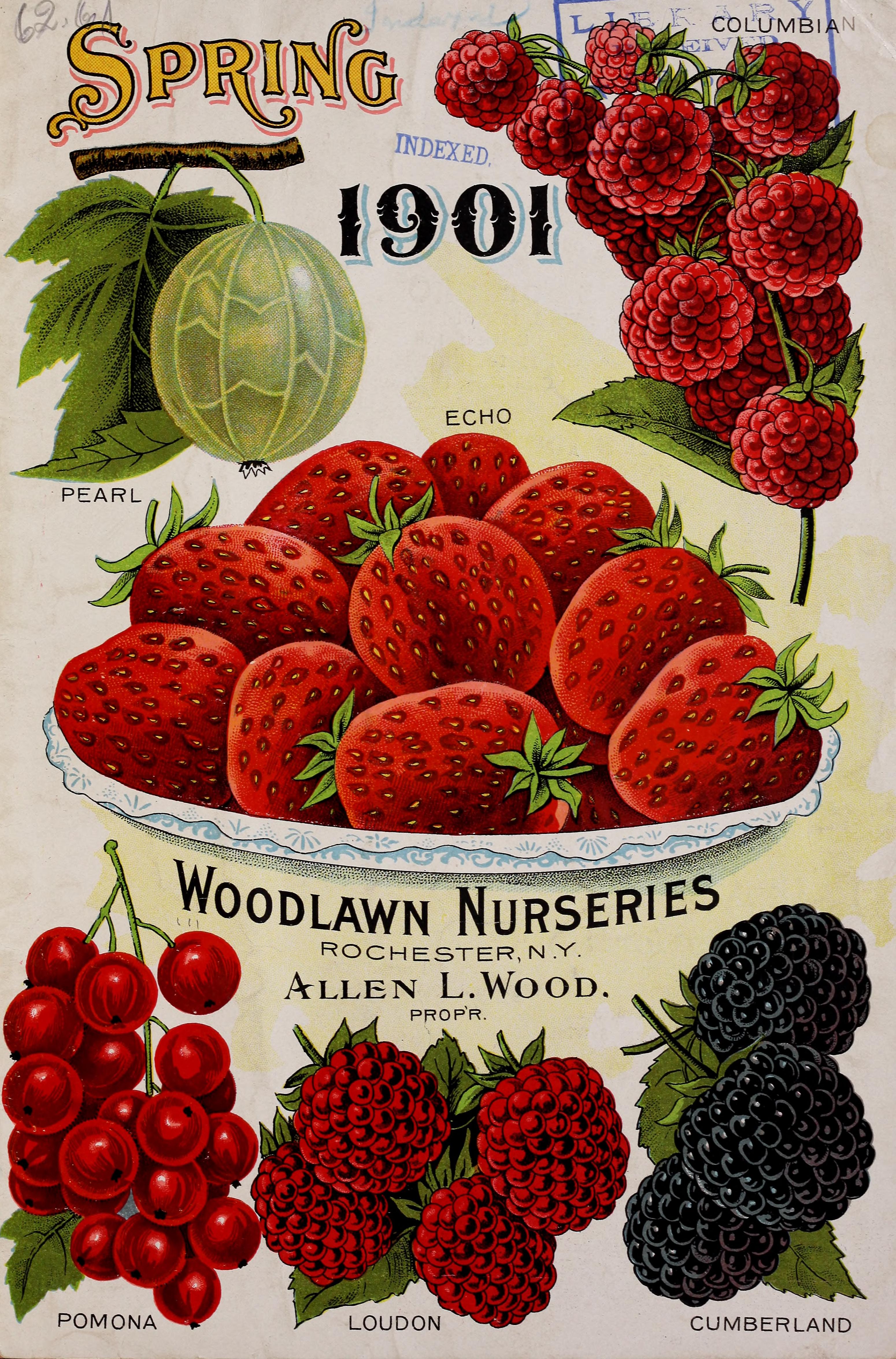 Woodlawn Nurseries Spring 1901 Catalog, front cover