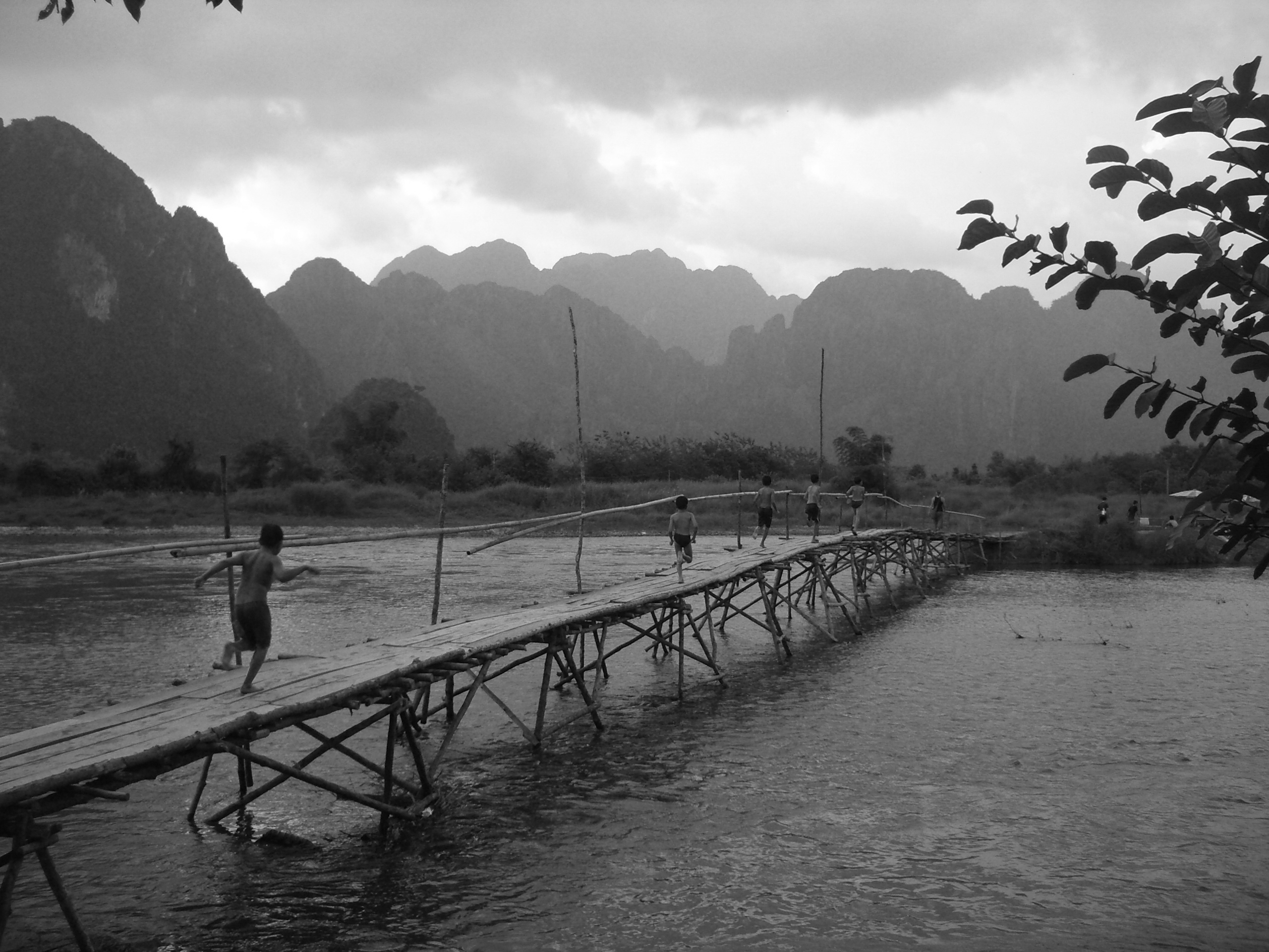 Bamboo Bridge