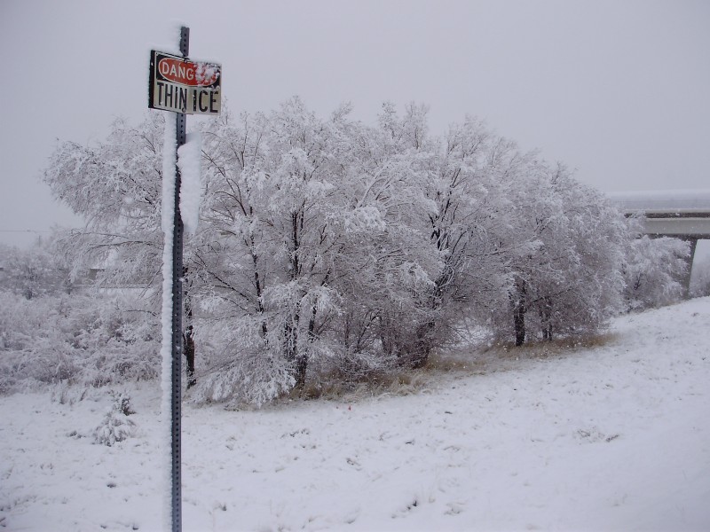 2012-03-17 Elko, Nevada snowstorm P9170254