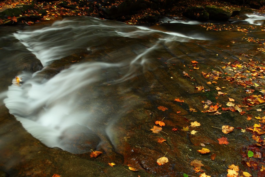 Fall-foliage-creek-leaves-stream - West Virginia - ForestWander