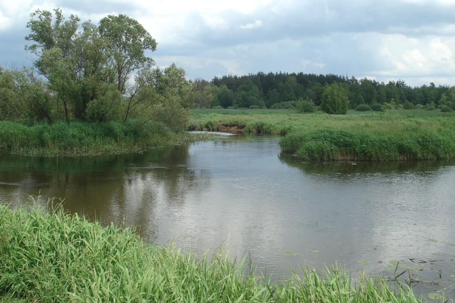 Place of a confluence of the river Guslitsa in the river Nerskaya 9027