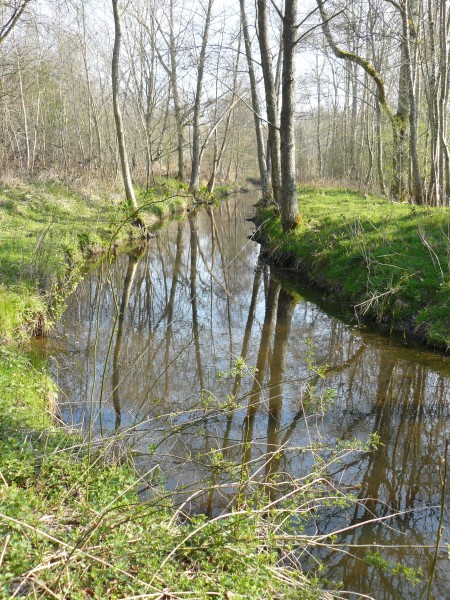RivièreGuesle