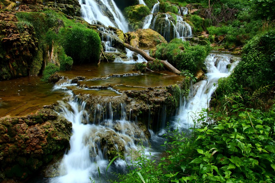 Waterfalls-forest-landscape - Virginia - ForestWander