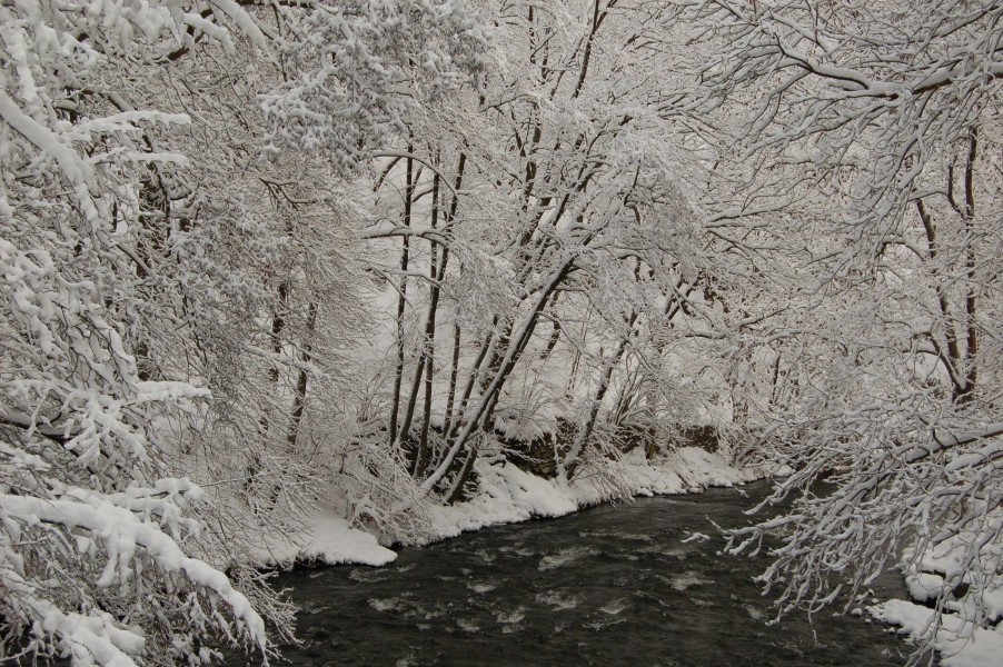 Winter an der Rur unterhalb von Widdau II
