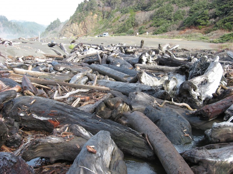 Del Norte Coast Redwoods SP driftwood