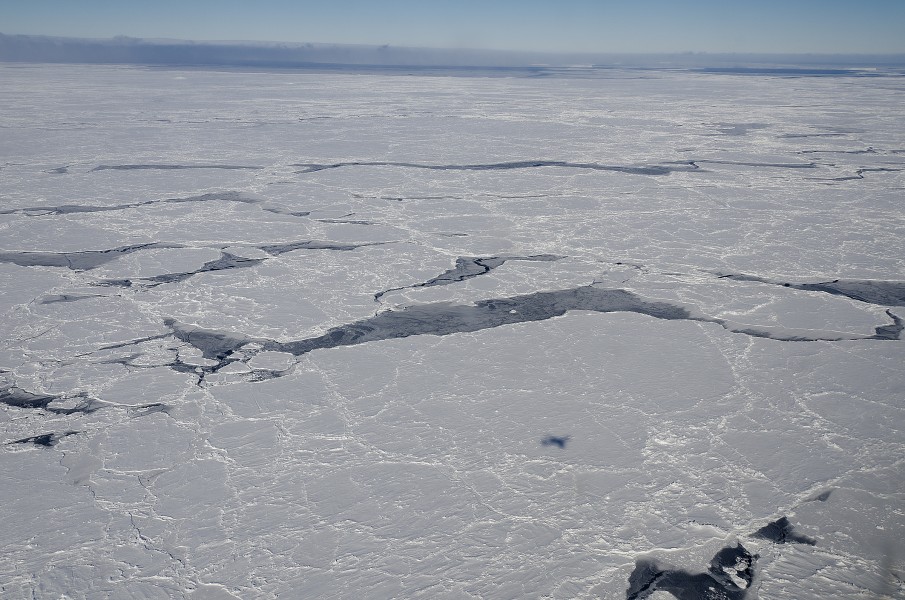 The ice covering the Bellingshausen Sea, off the coast of Antarctica