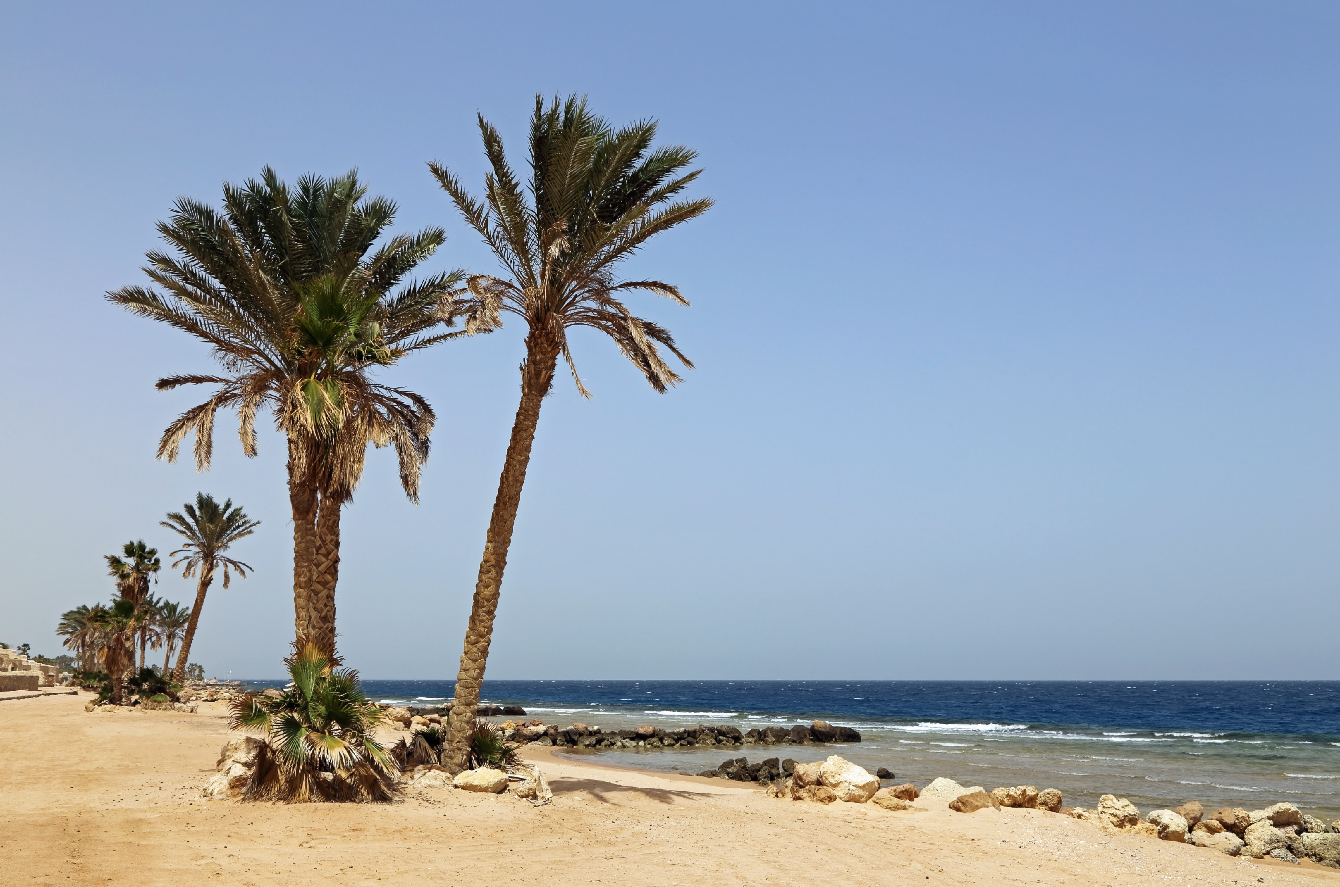 Red Sea Hurghada R03