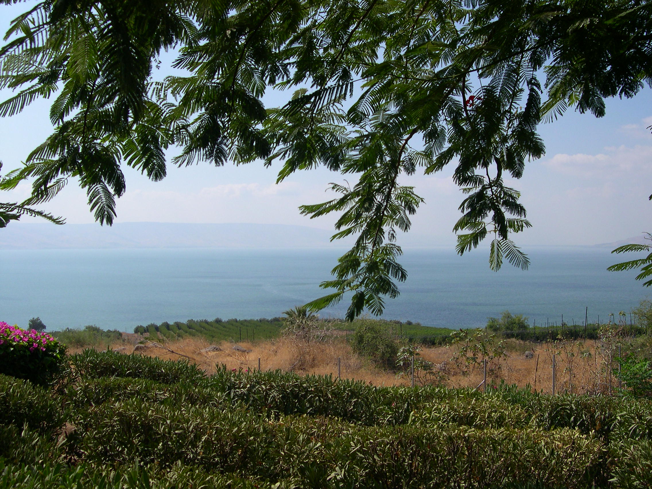 Sea of Galilee (2925955150)